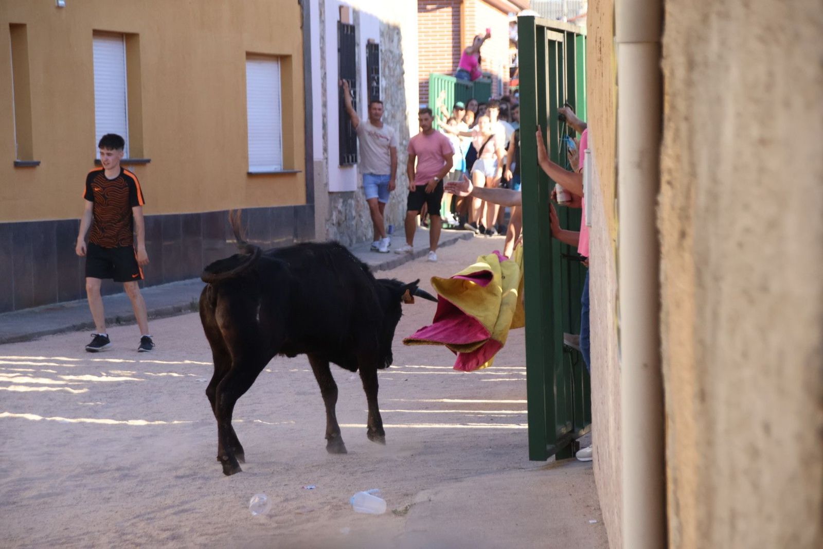 20240817185337-img-4492