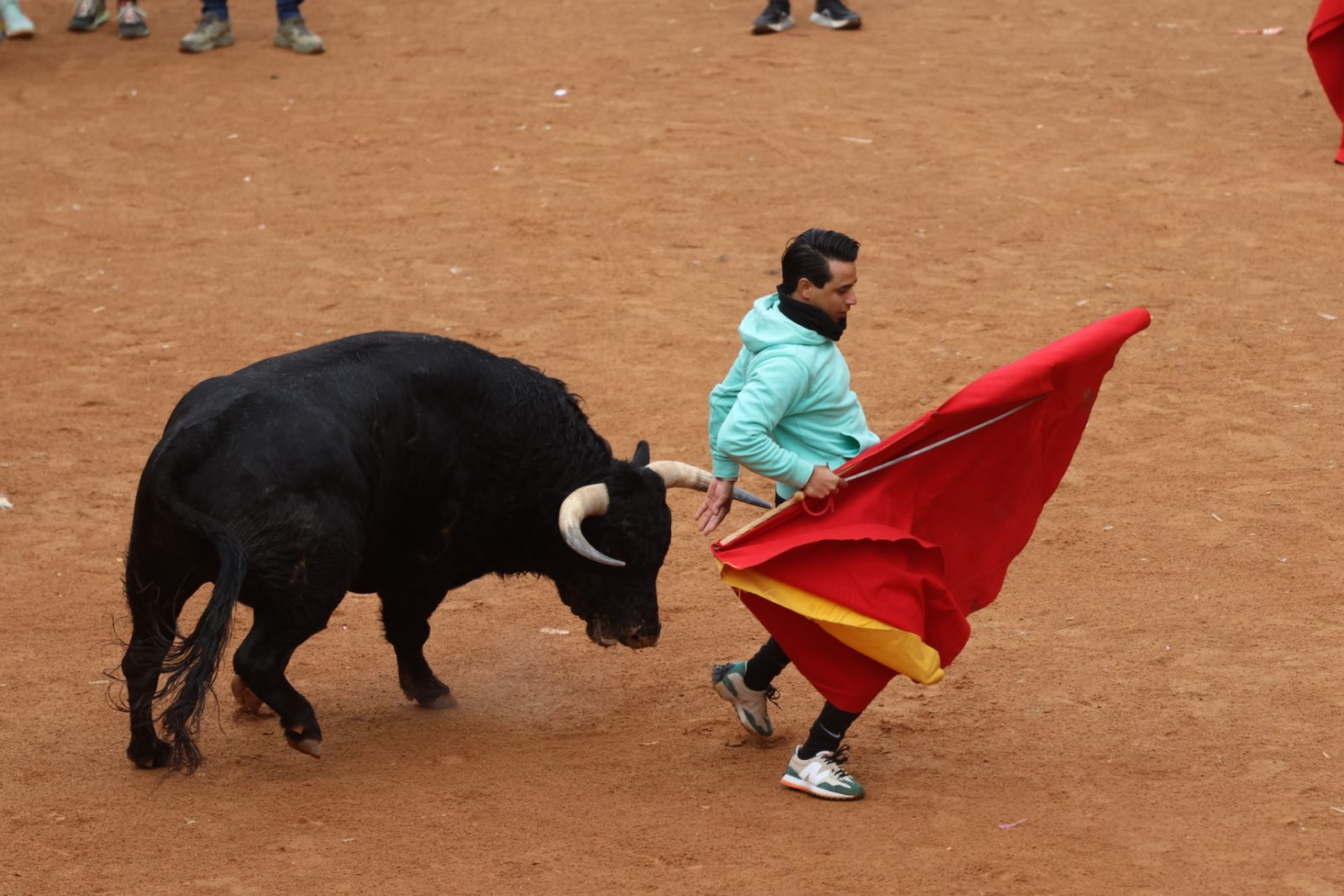 Capea de domingo en el Carnaval del Toro 2026 de Ciudad Rodrigo