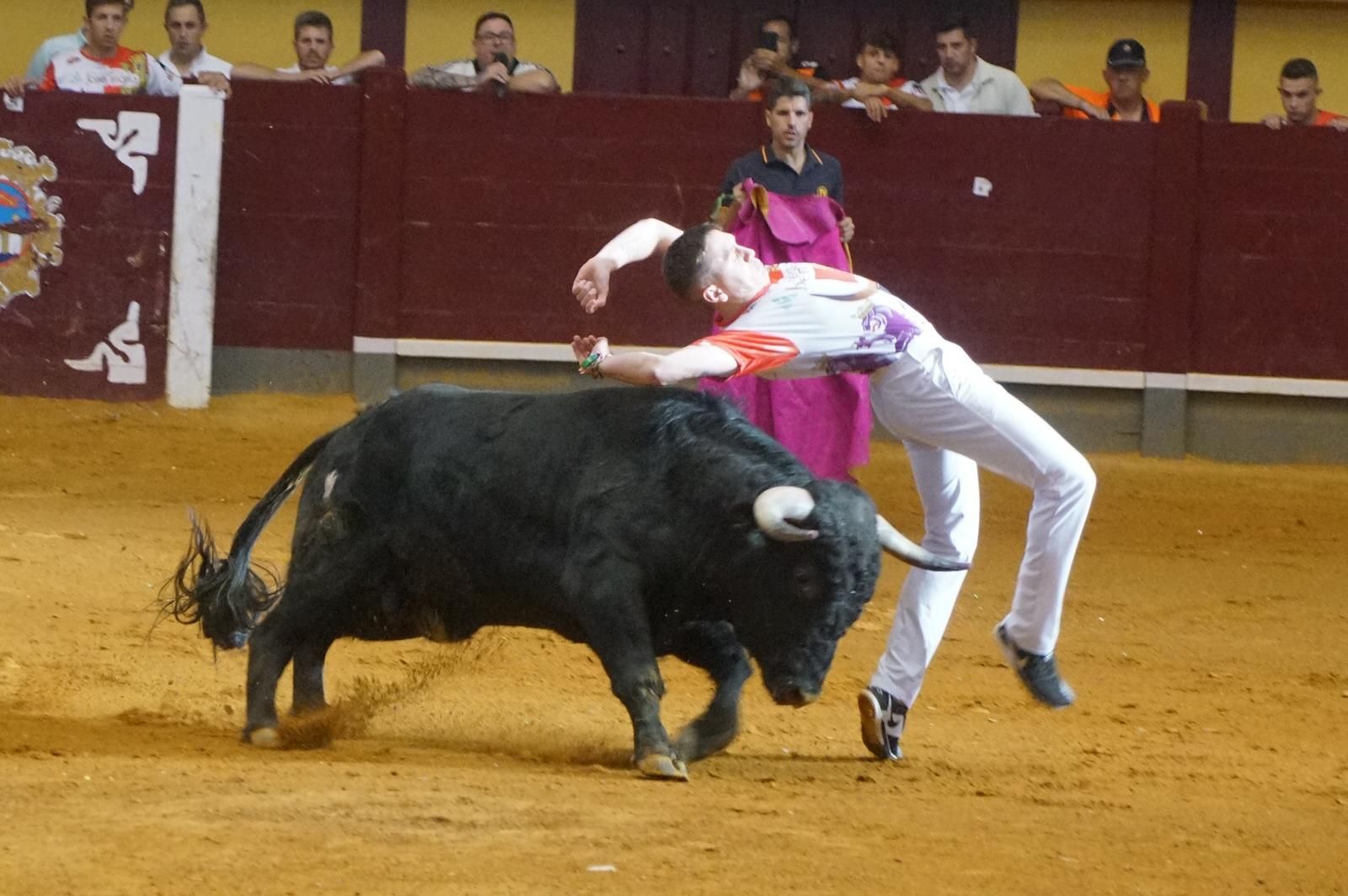 Alba de Tormes celebra un nuevo concurso de cortes