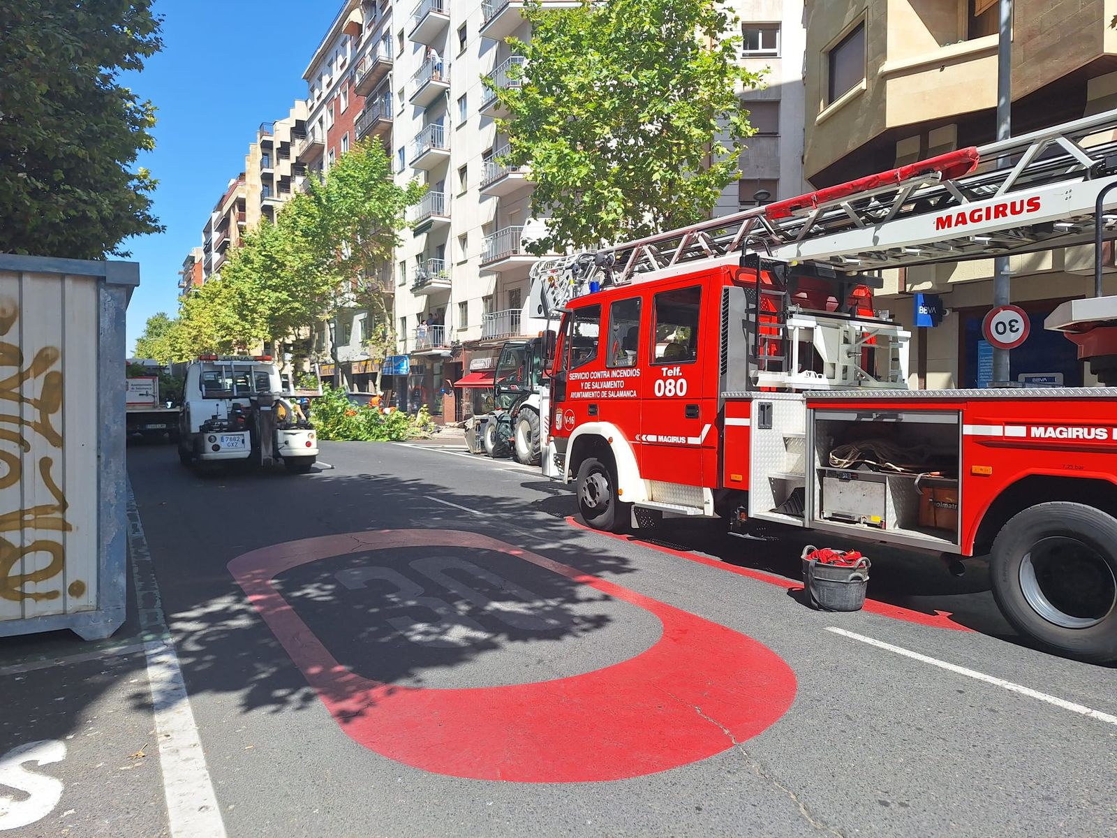 Un árbol cae sobre varios coches en Torres Villarroel