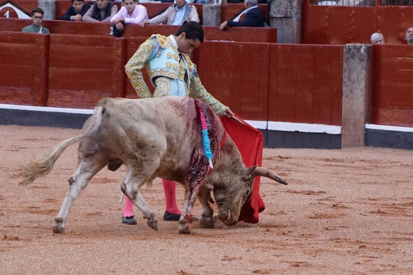 whatsapp-image-2022-09-08-at-9-20-31-pm