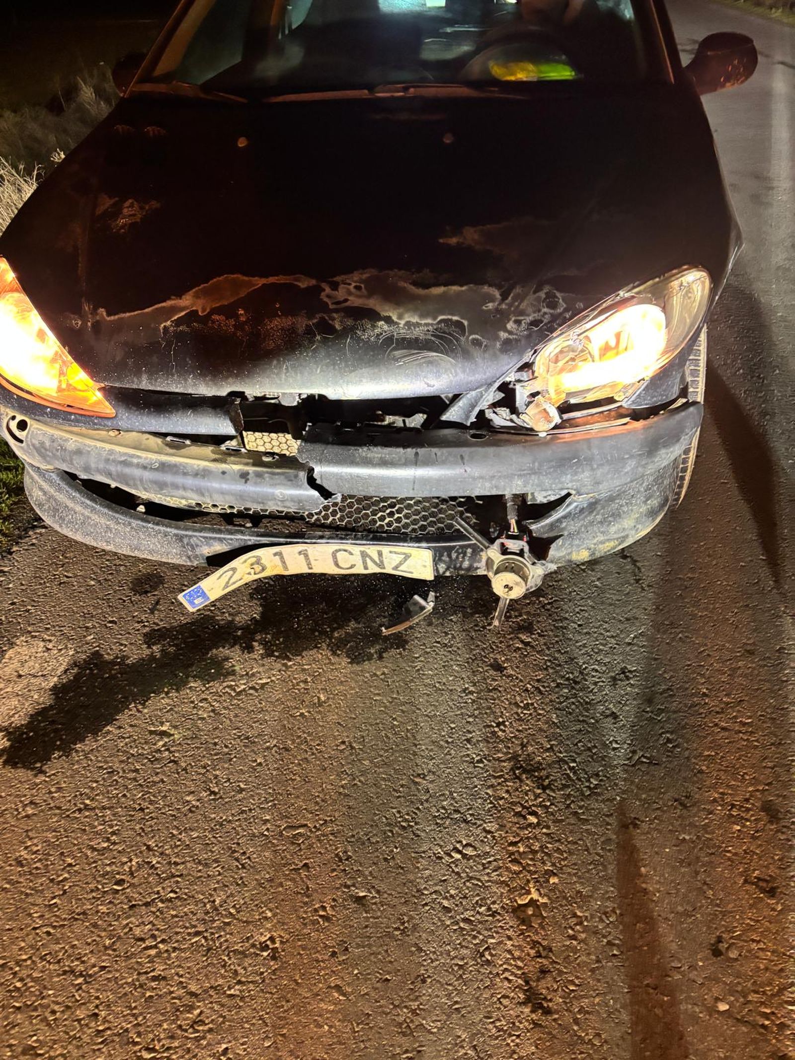 Herida una mujer tras chocar con un jabalí en Encinas de Abajo