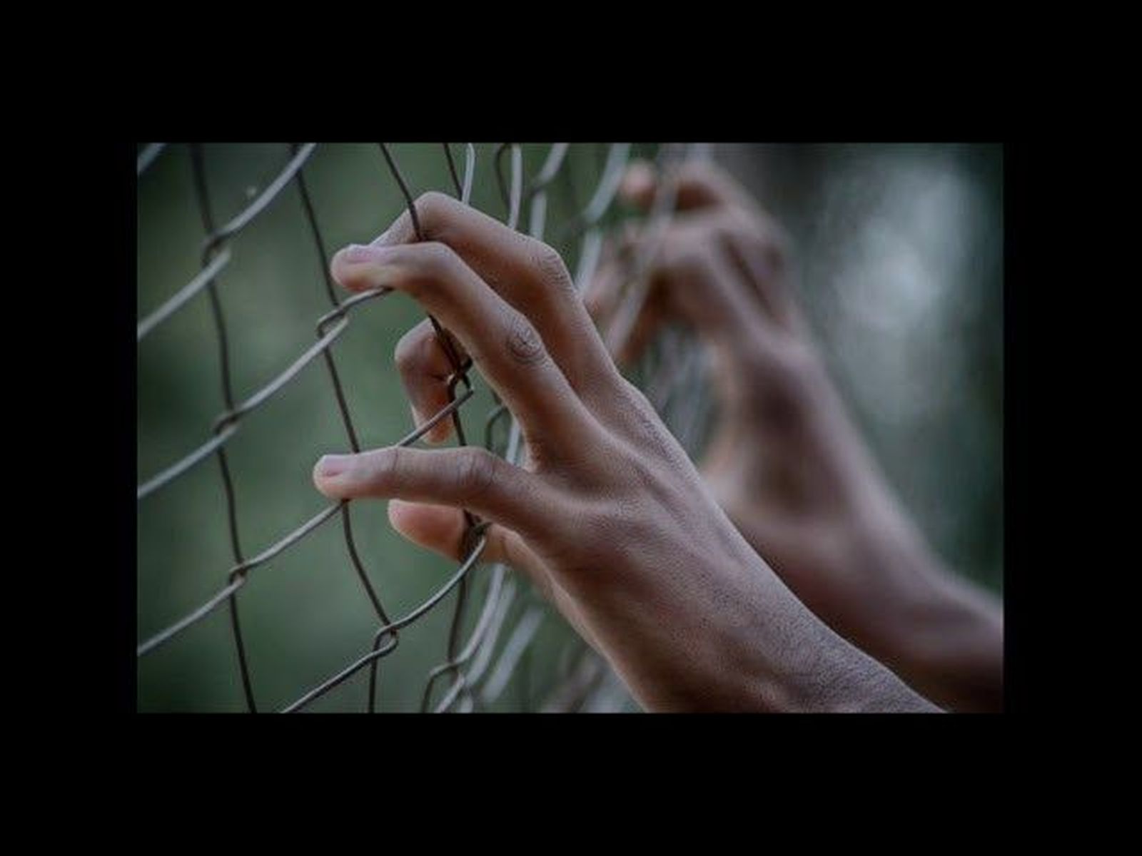 CARTA ABIERTA DE ALICIA ESPINOSA MARTIN