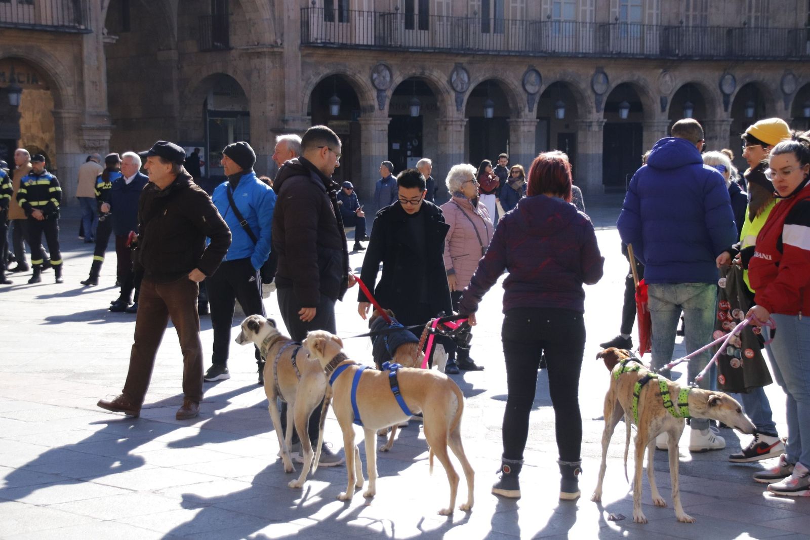 20230205121332-mg-5701