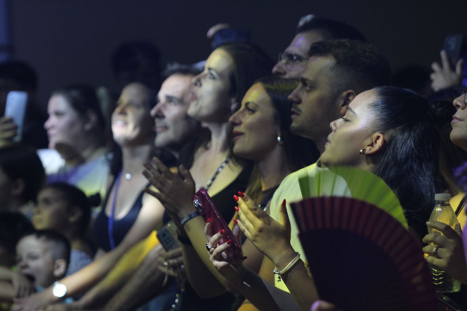 Concierto Nyno Vargas. Valdelosa