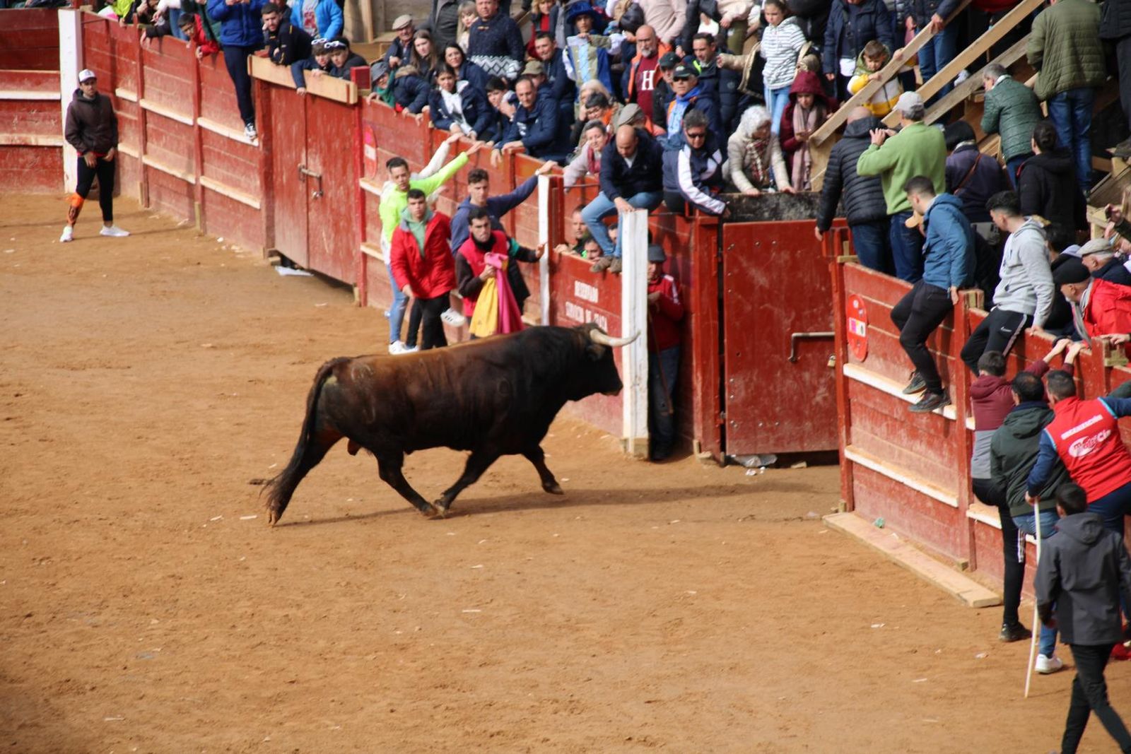 capea-matutina-del-martes-carnaval-de-ciudad-rodrigo-1