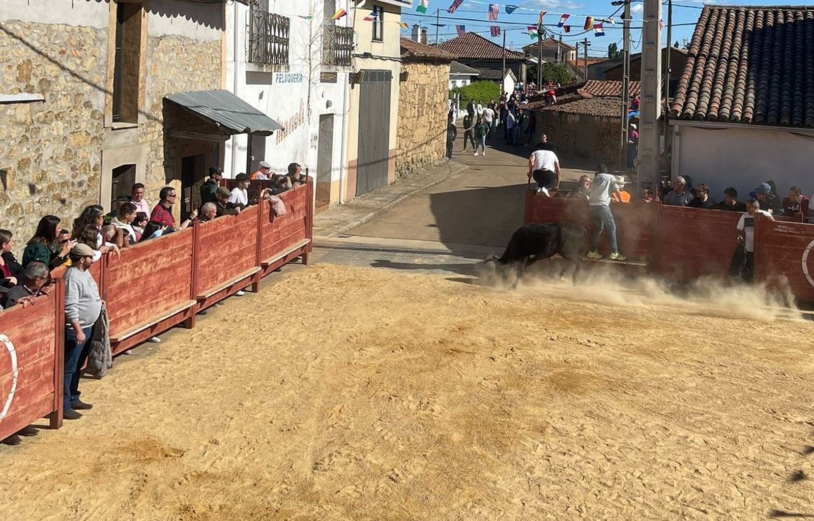 suelta-de-vaquillas-por-cabrillas-13