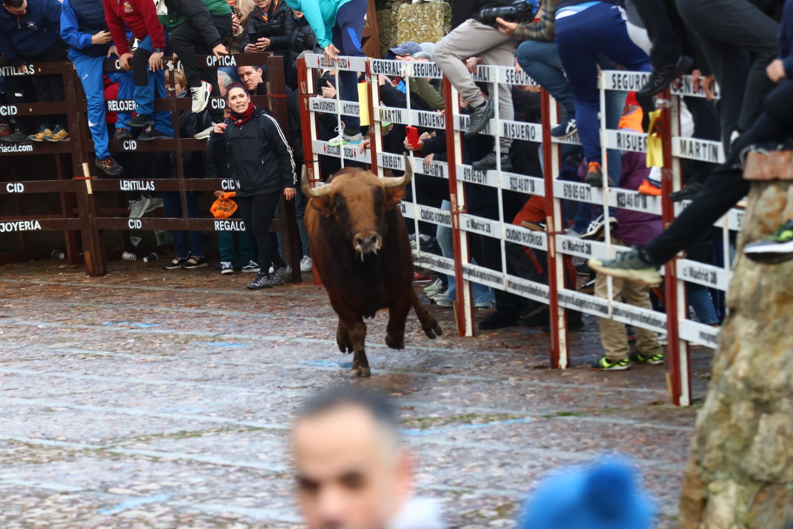 Toro del aguardiente en la mañana de martes del Carnaval del Toro 2026