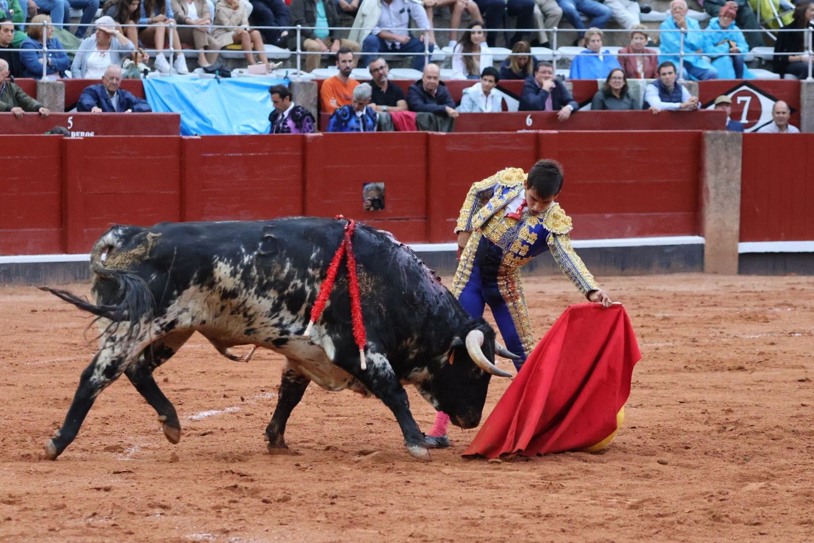 20230915185927-img-4285