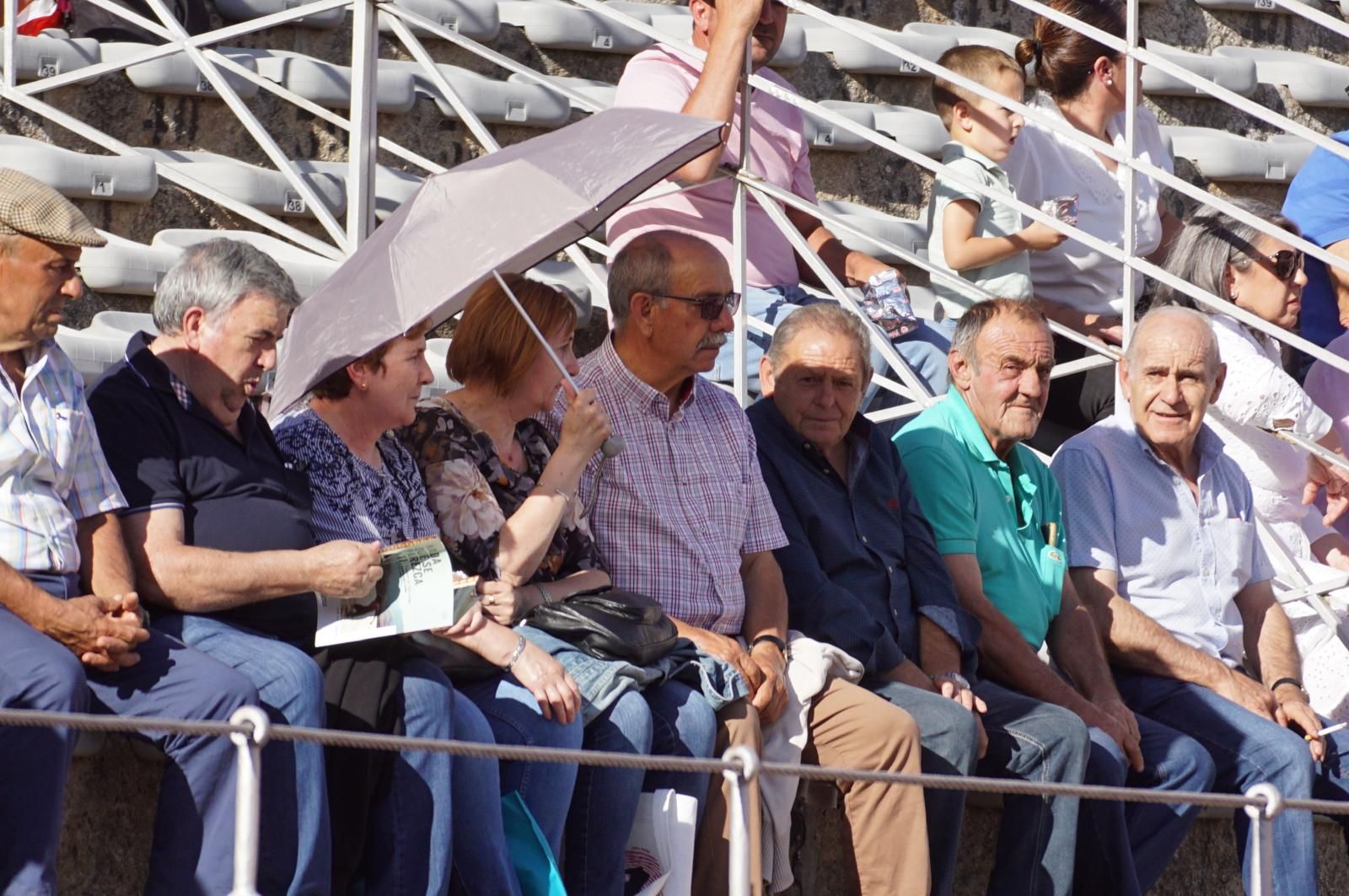 Tradicional Desenjaule en la Plaza de Toros La Glorieta