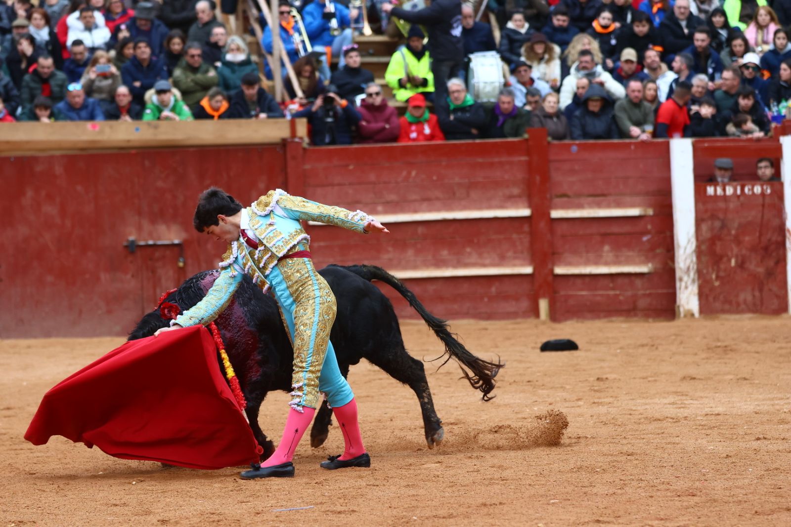 Novillada con picadores de lunes en el Carnaval del Toro de Ciudad Rodrigo 2026