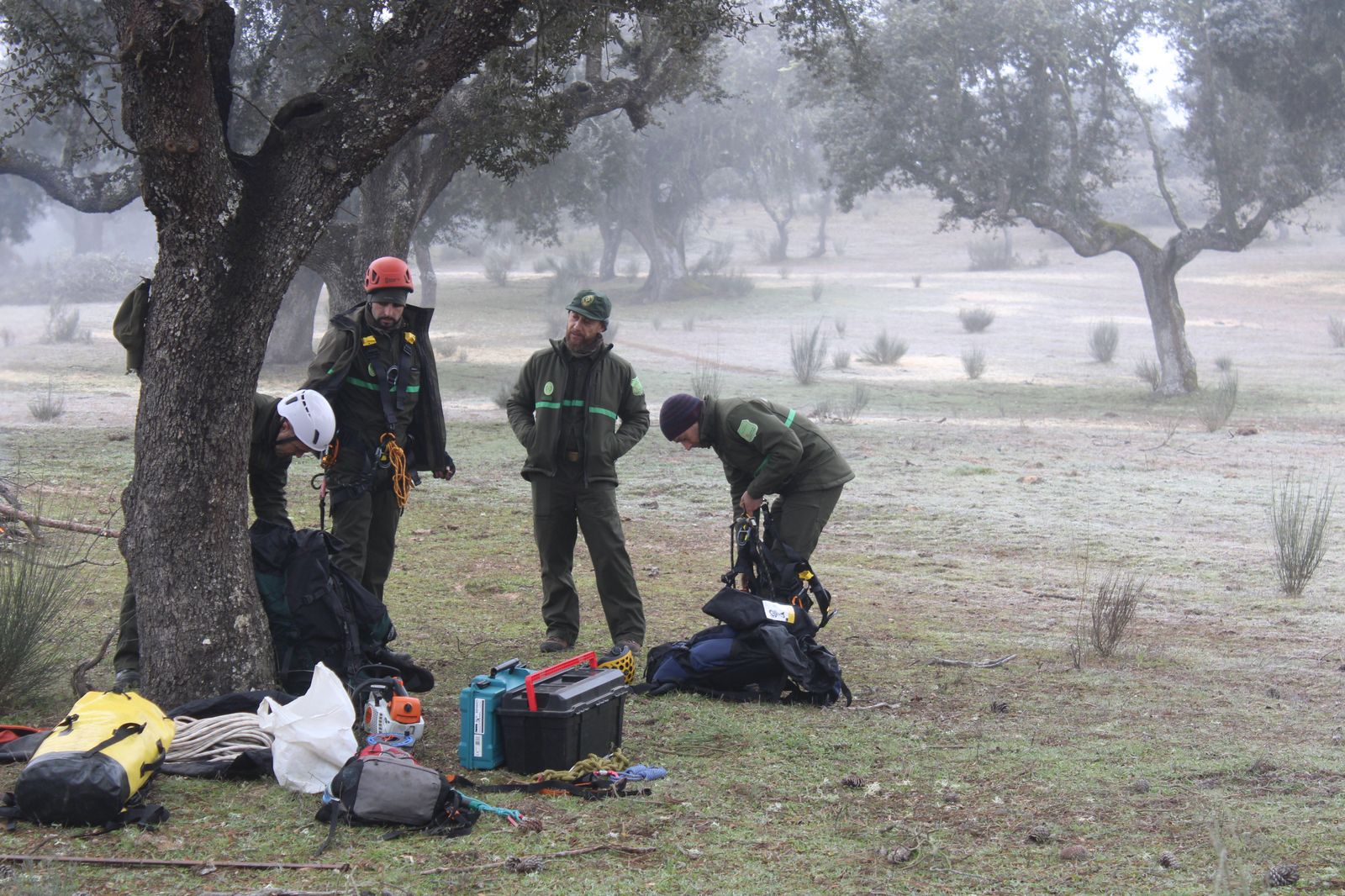 grupo-de-intervenciones-en-altura-reparacion-nido-cigueena-negra-en-espeja-3