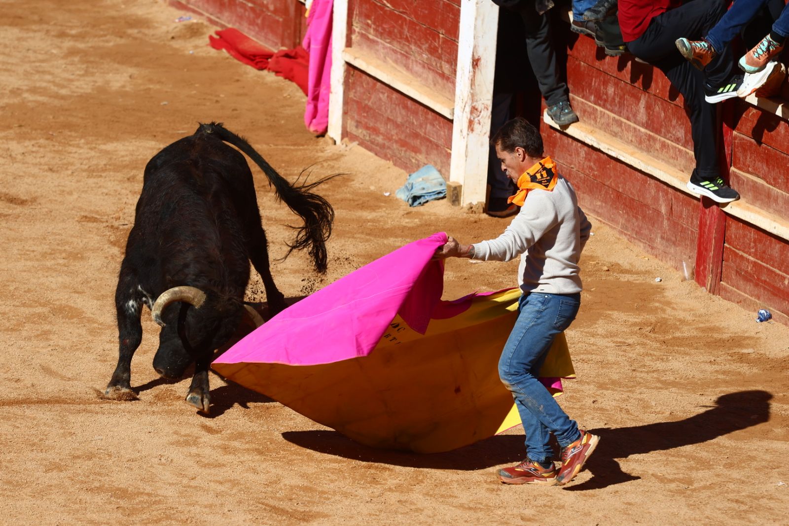 Capea de mañana en el martes del Carnaval del Toro de Ciudad Rodrigo