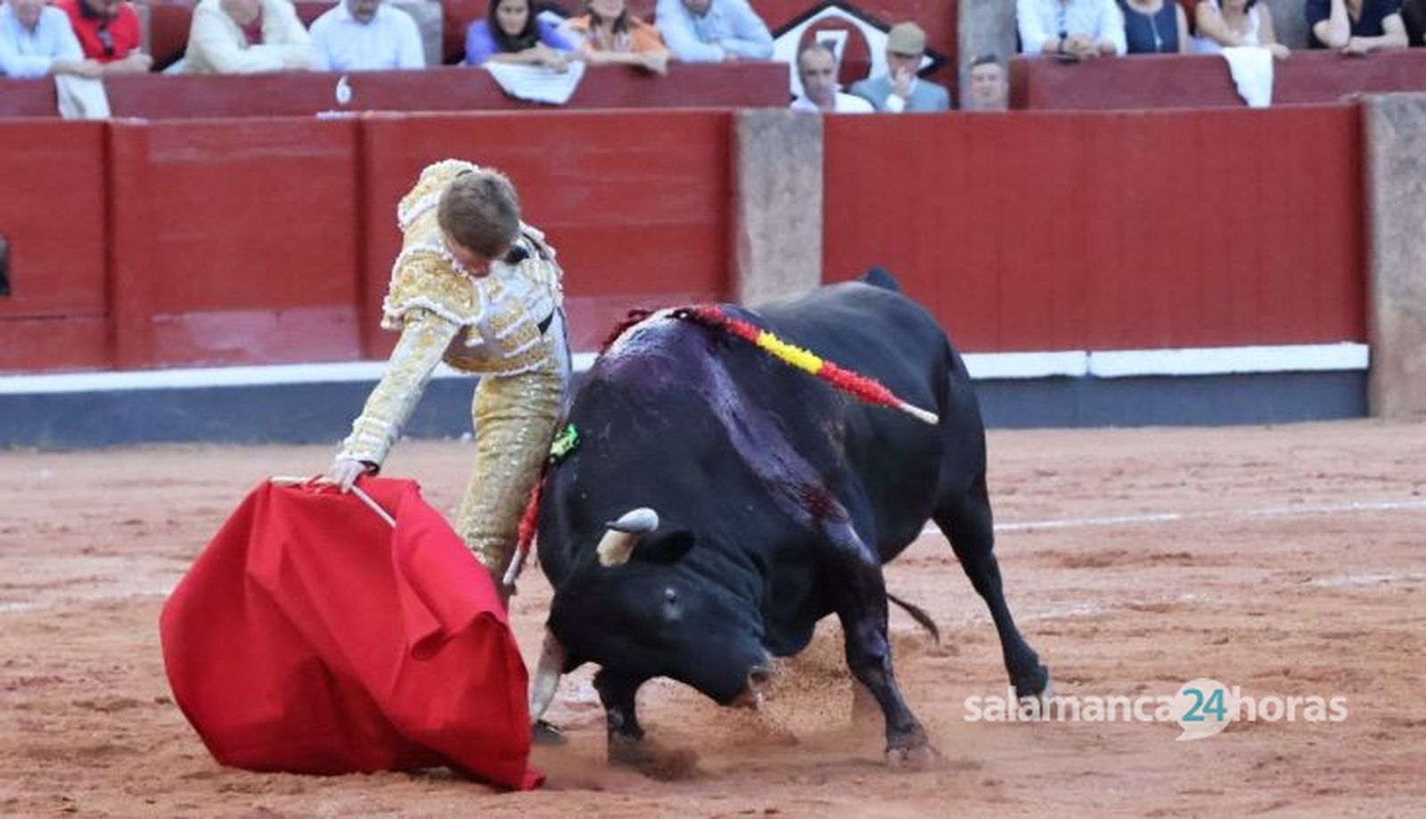 Corrida de El Vellosino: momentos más destacados del tercer festejo de abono de la Feria Taurina Virgen de la Vega 2024. Fotos Andrea M.