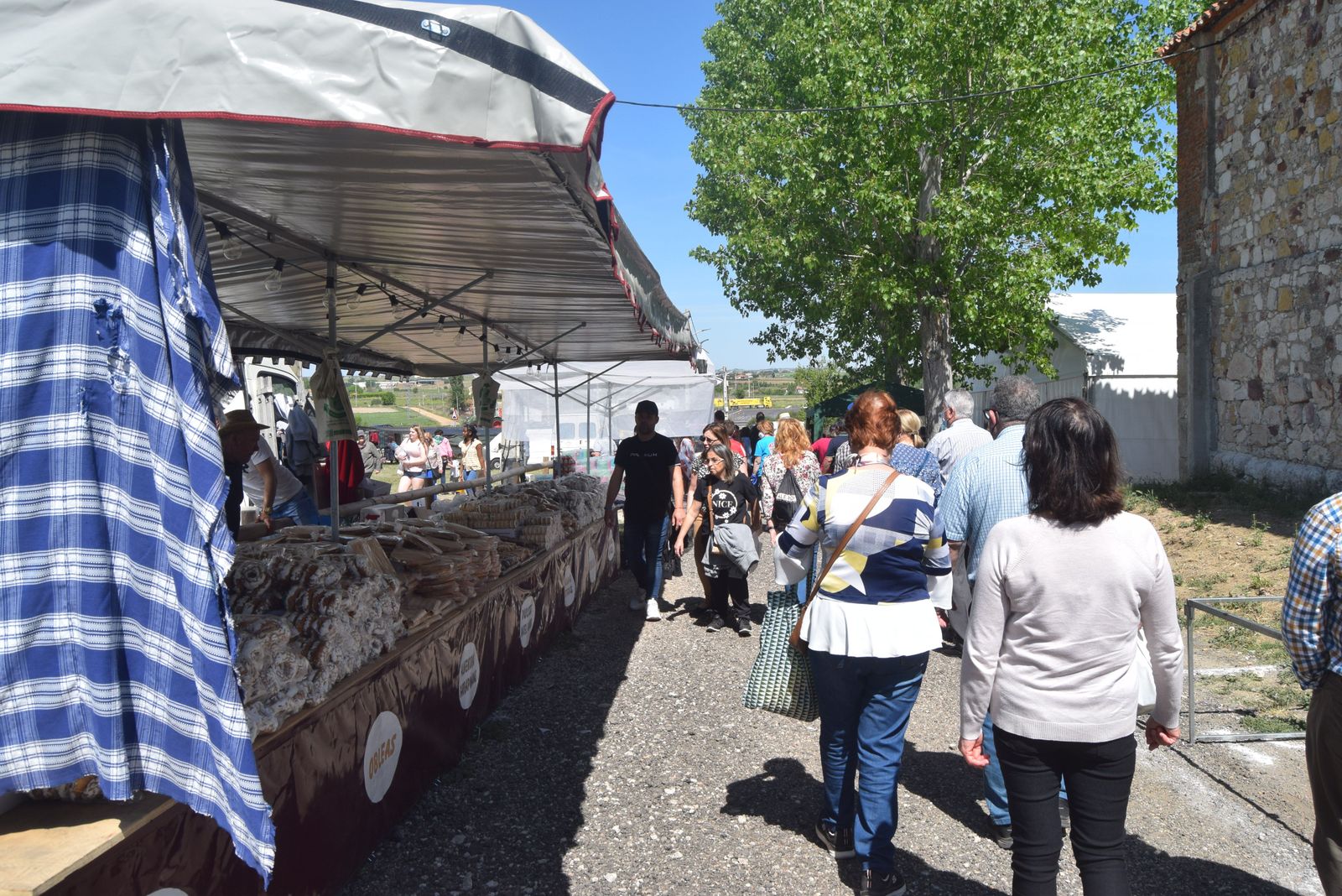 cristo-de-morales-2022-56