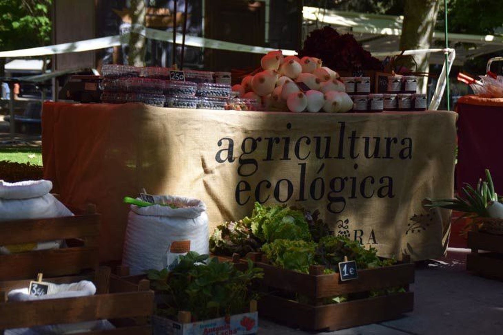Mercado Ecológico mayo 2017