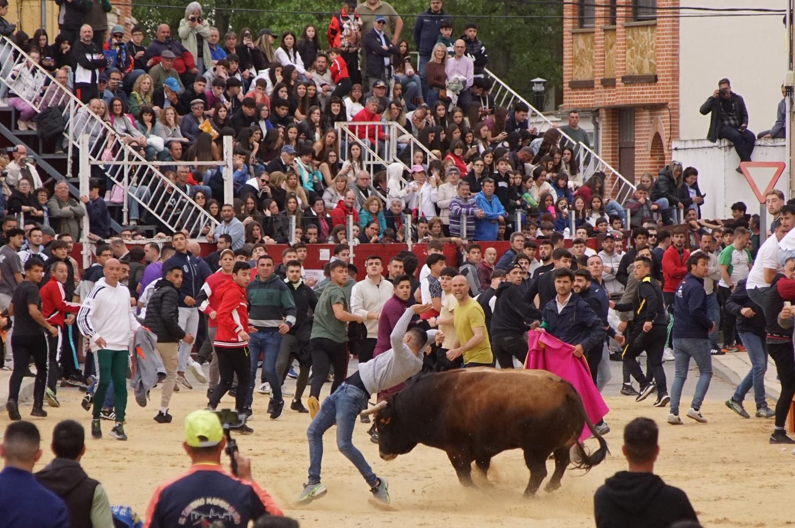 Villoria, toro del Voto