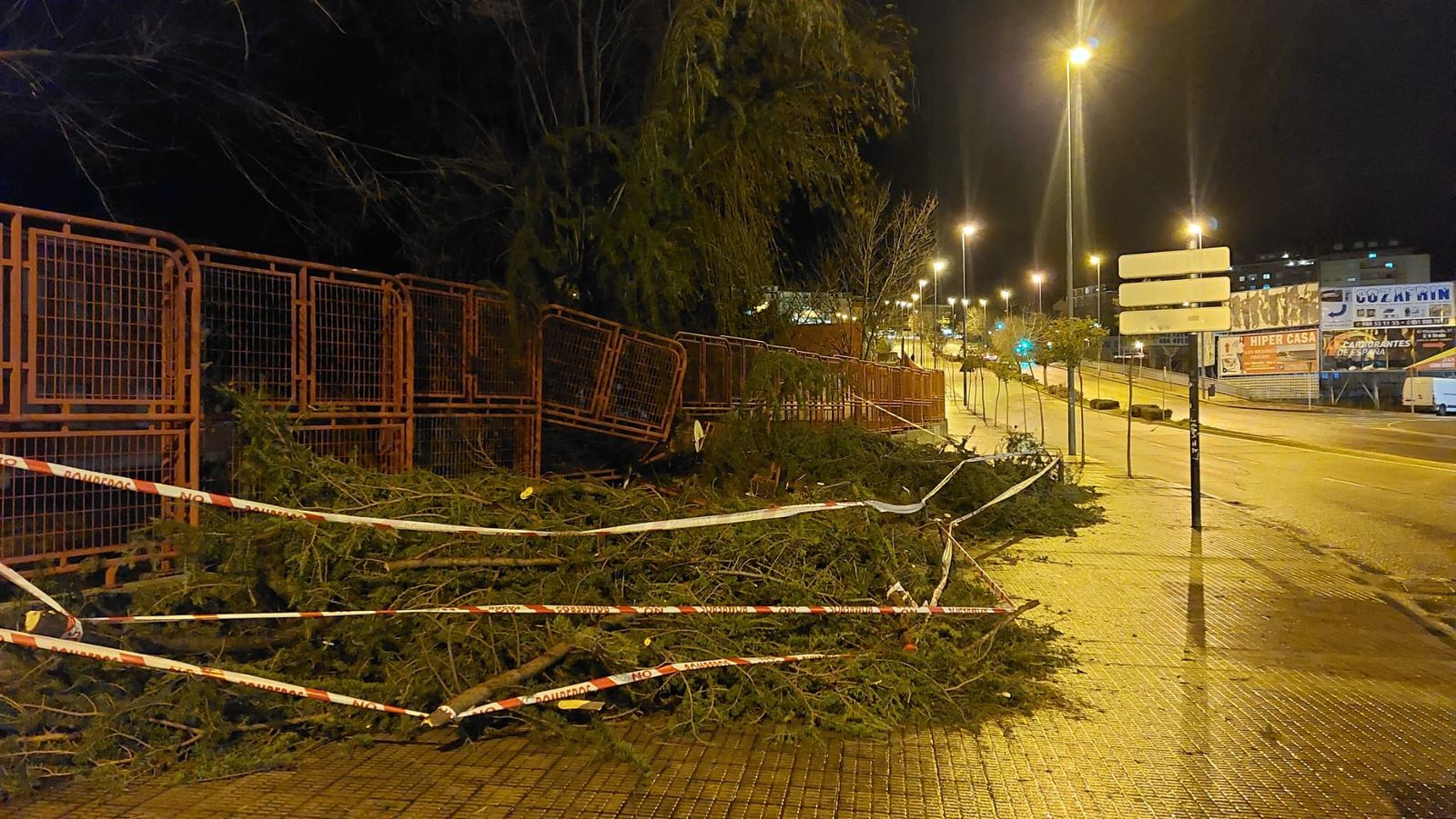 Árbol caído en el Bolón