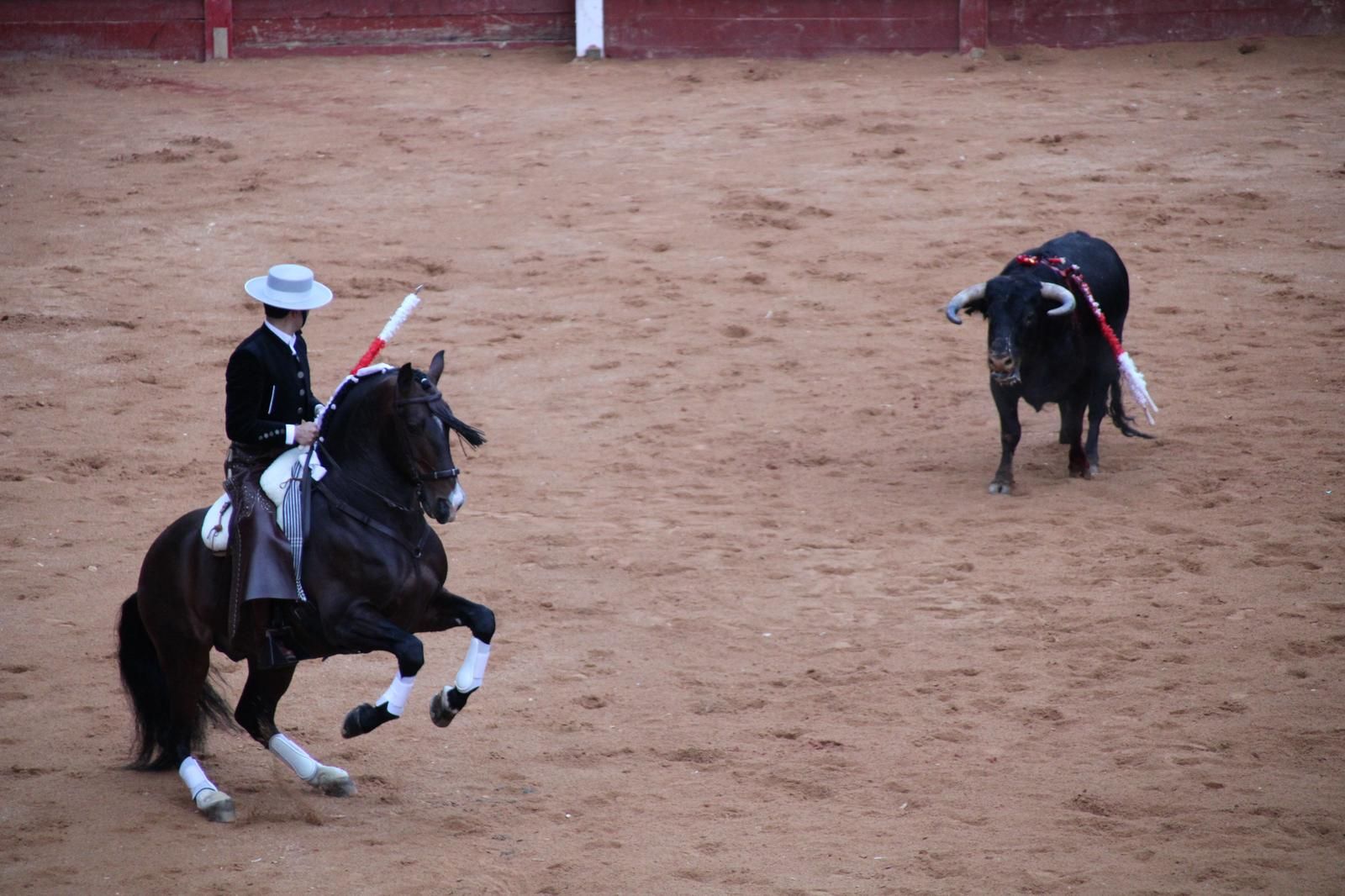 whatsapp-image-2025-03-02-at-18-56-04