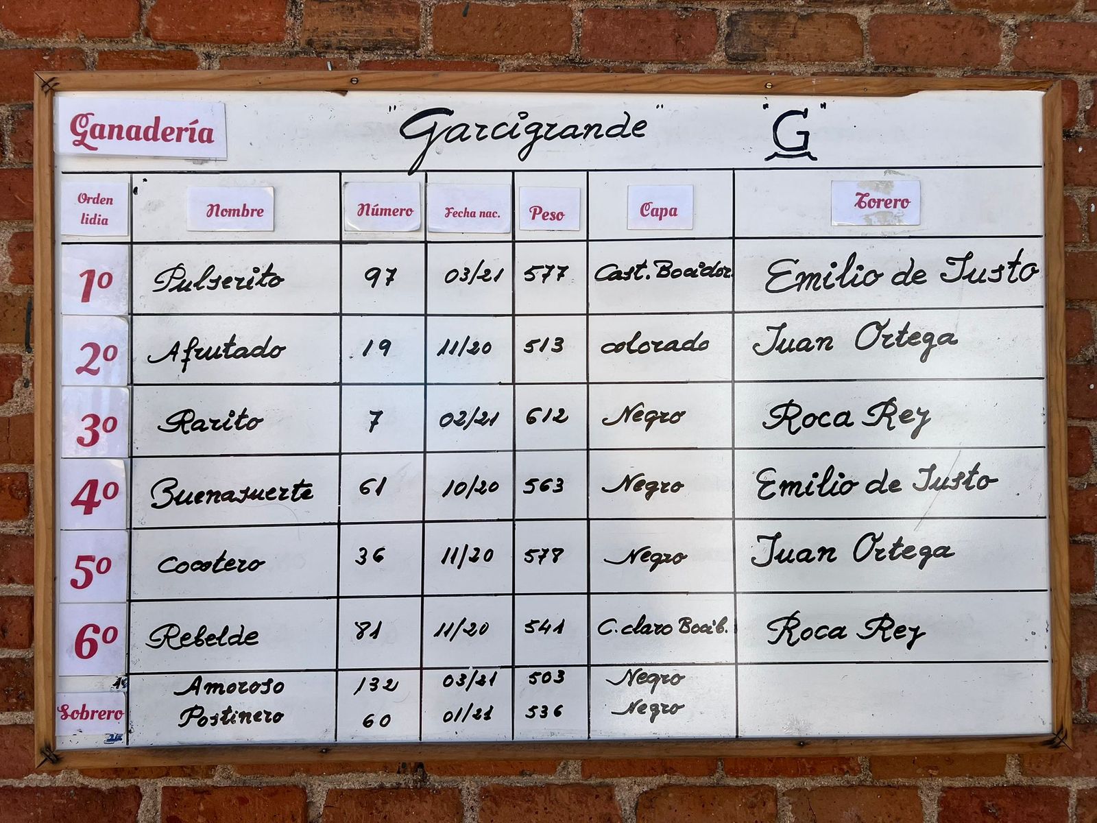 Primer sorteo para las figuras en Salamanca: toros de Garcigrande para De Justo, Ortega y Roca Rey