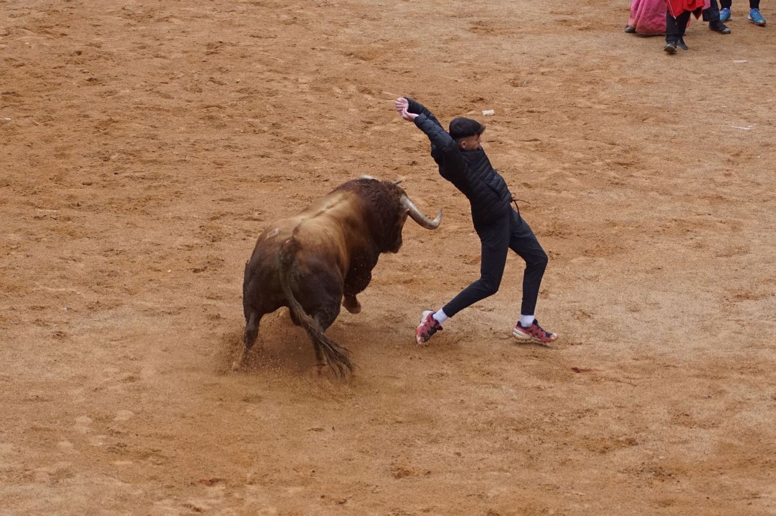 whatsapp-image-2025-03-03-at-14-50-27-3