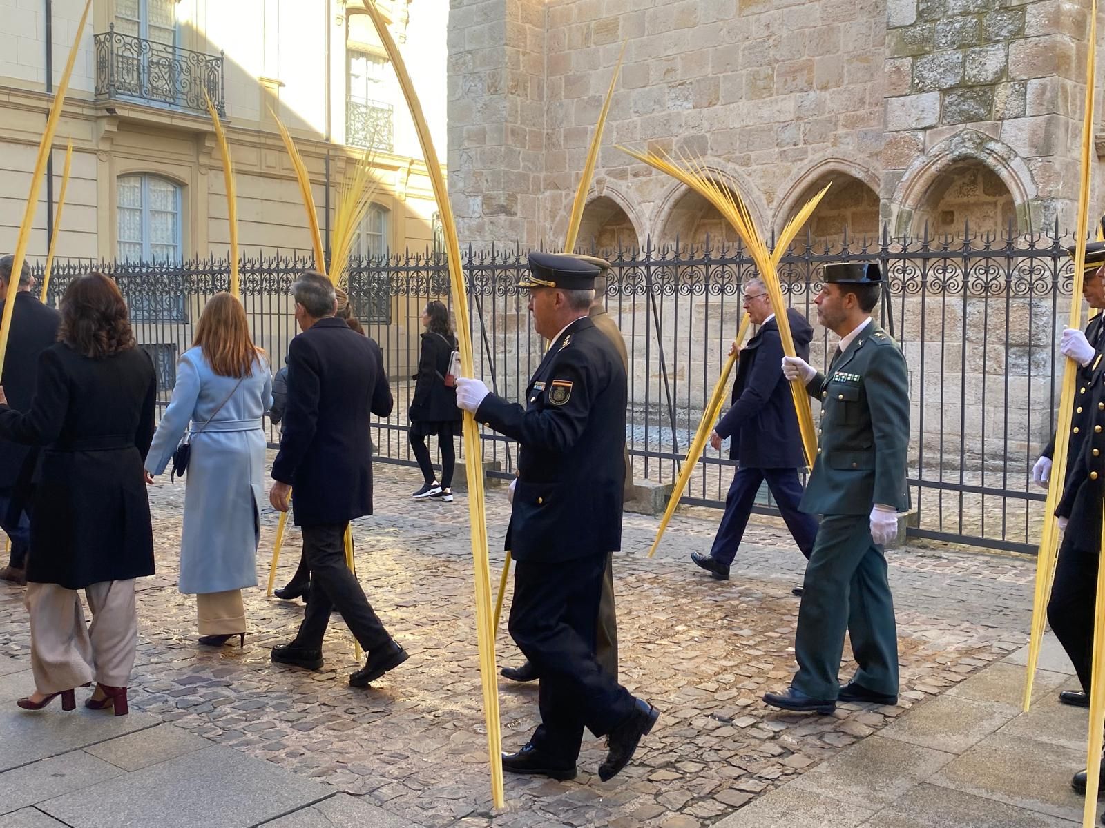 GALERÍA | Zamora celebra la bendición de palmas en este Domingo de Ramos