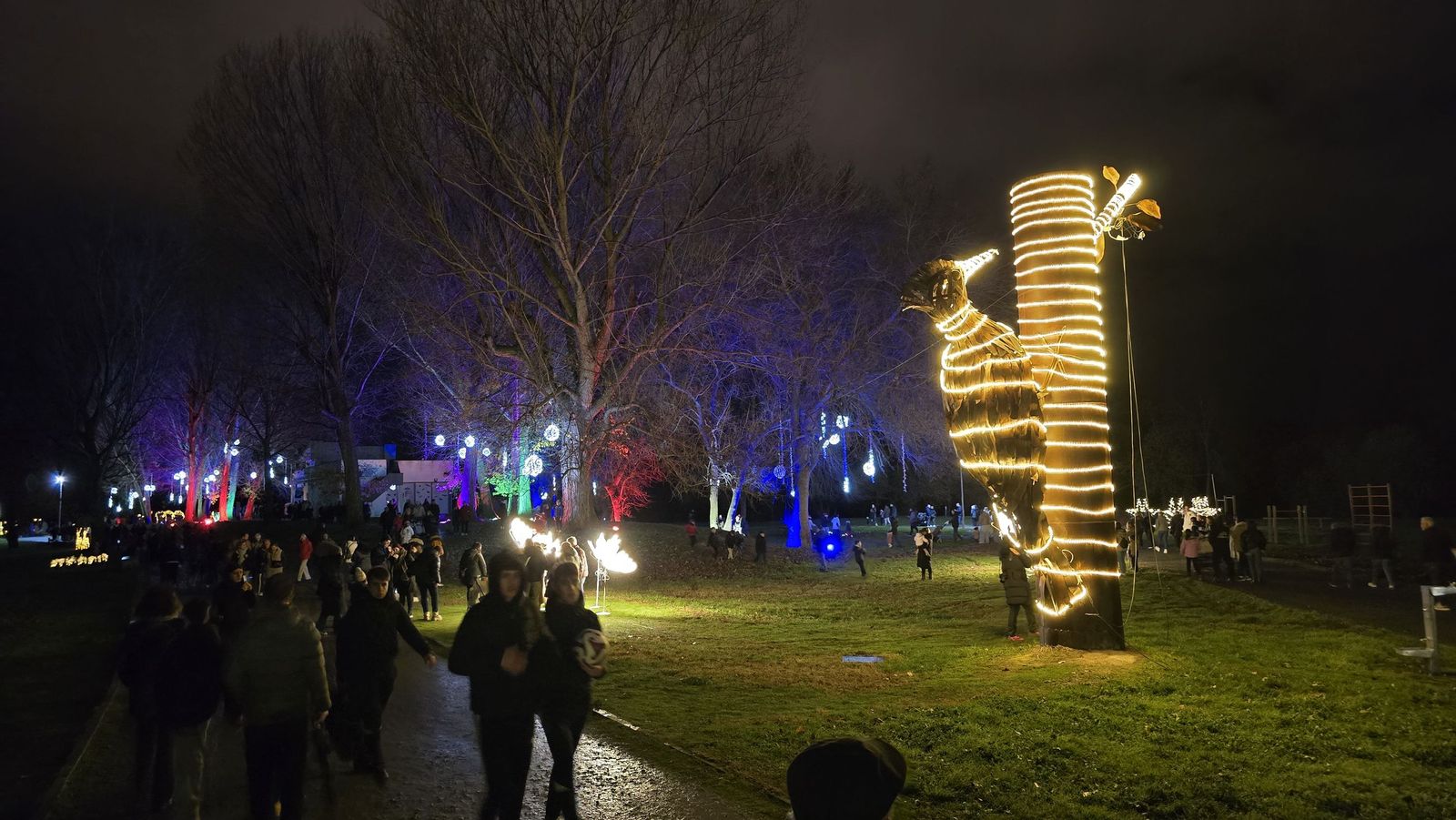 Inauguración de la Navidad en Santa Marta