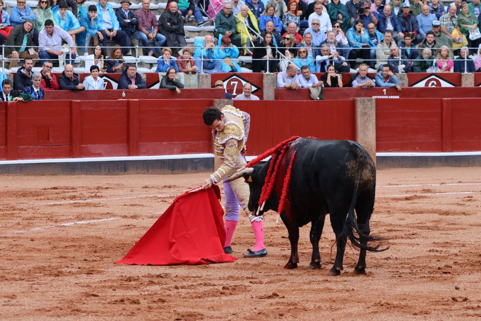 20230915171809-img-3878