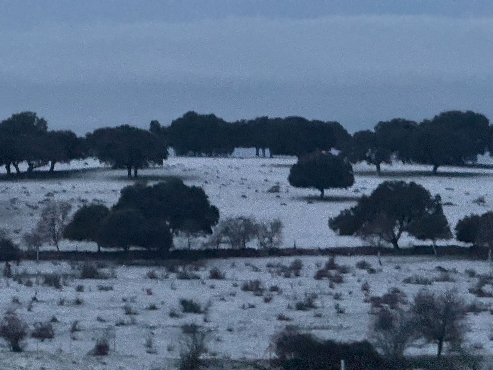 whatsapp-image-2025-03-02-at-07-58-10-1