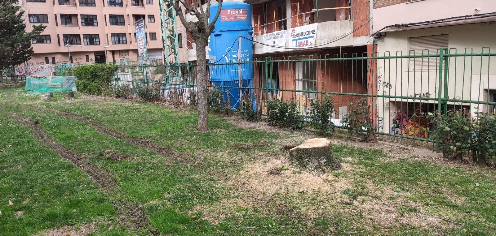 Árboles talados de Eduardo Barrón