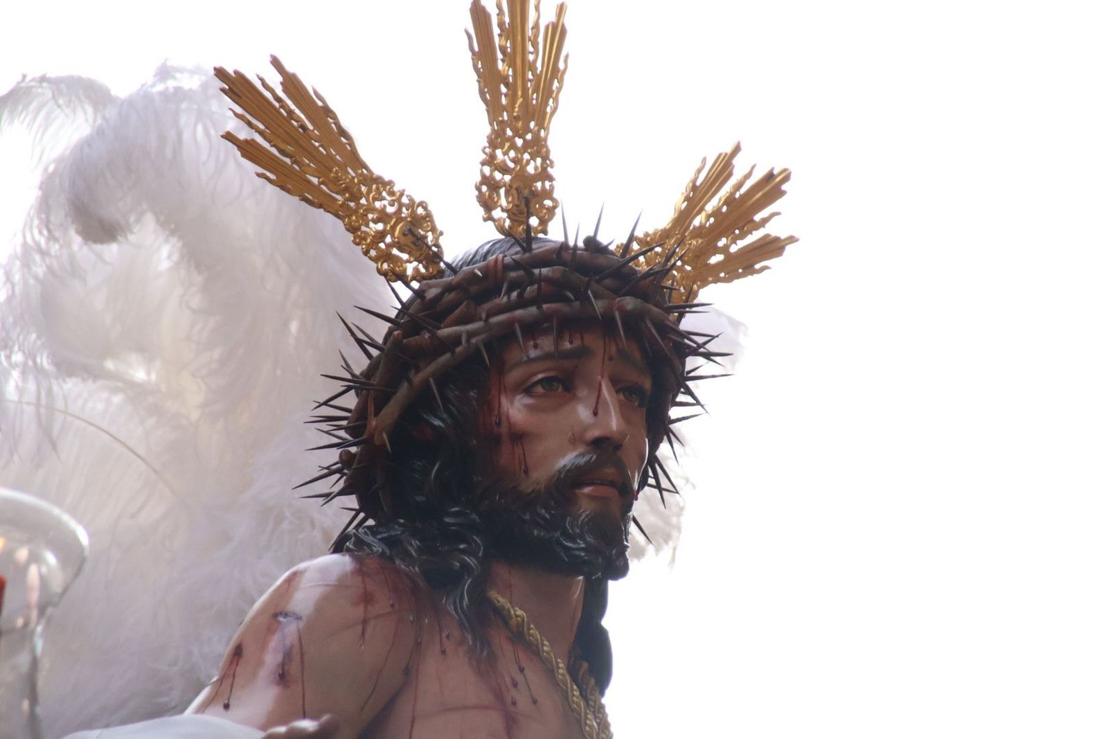 20240324174507-img-5170