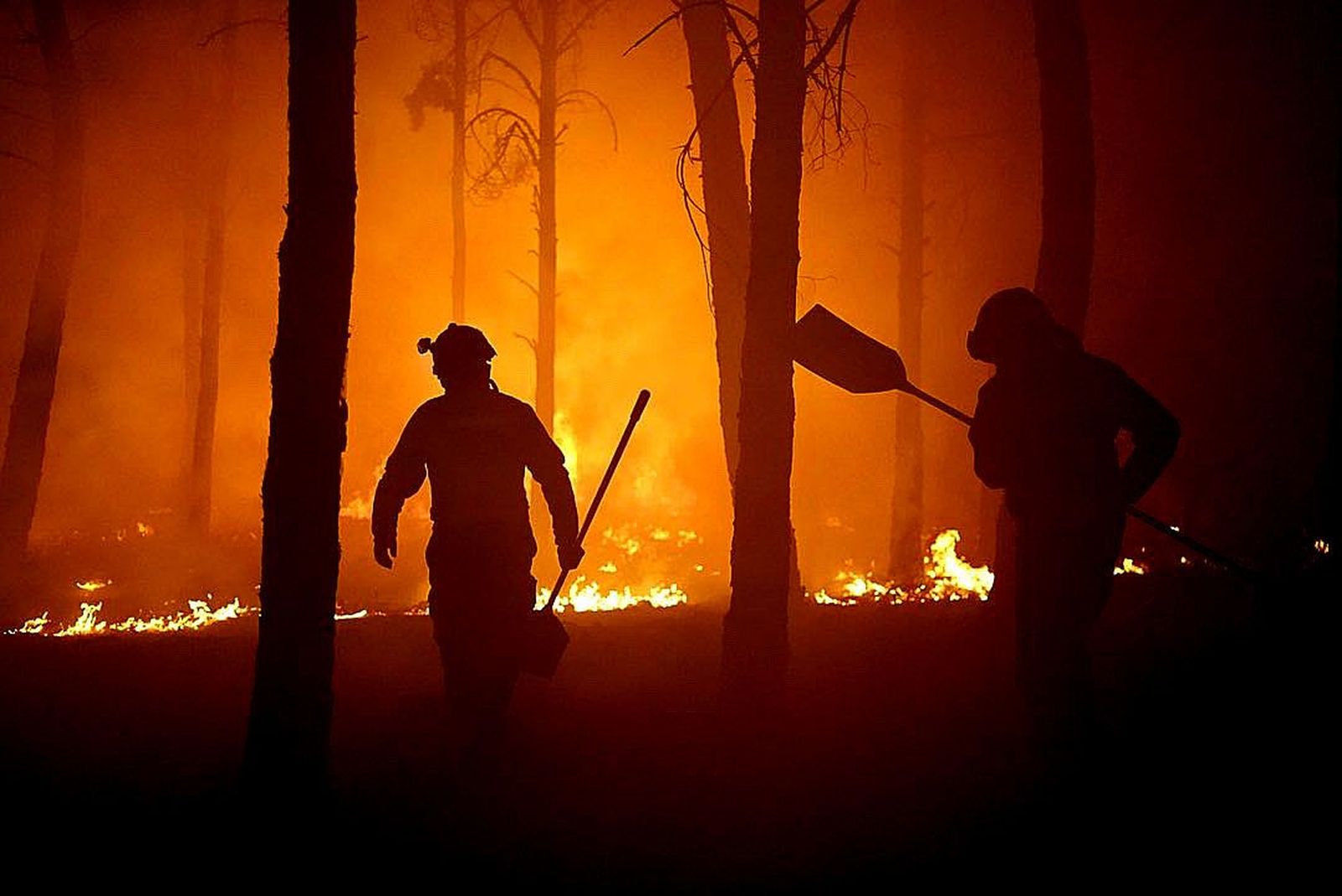 Incendio en la Sierra de la Culebra