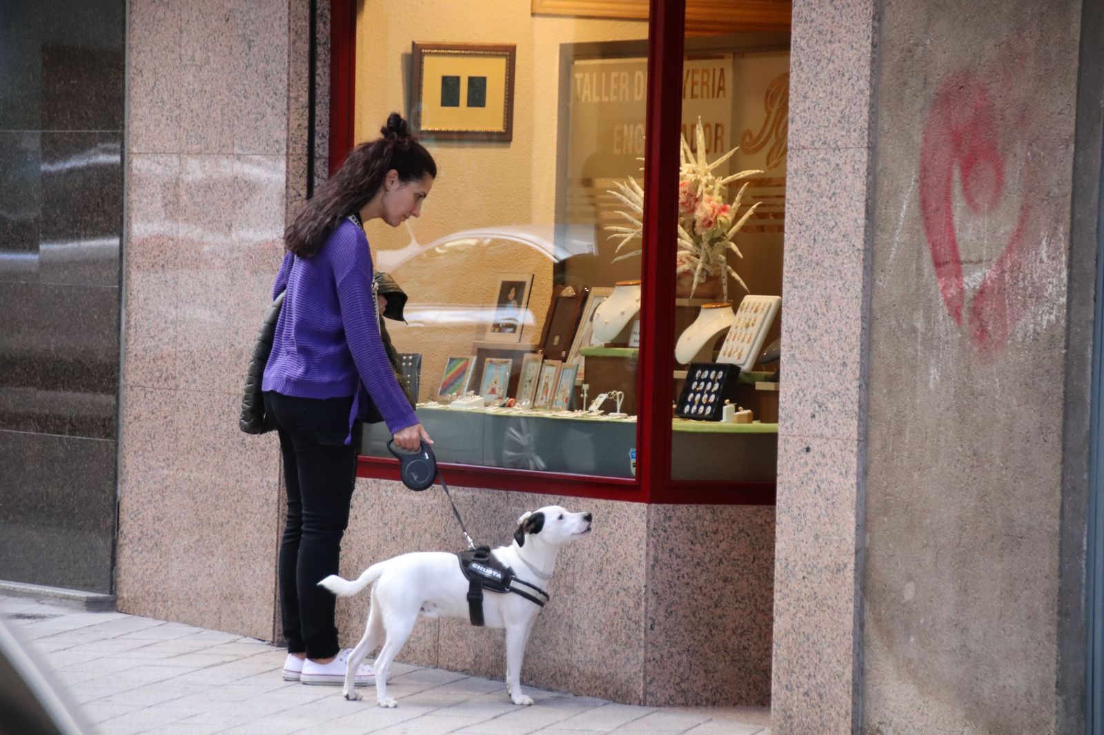 Chica paseando a su perro