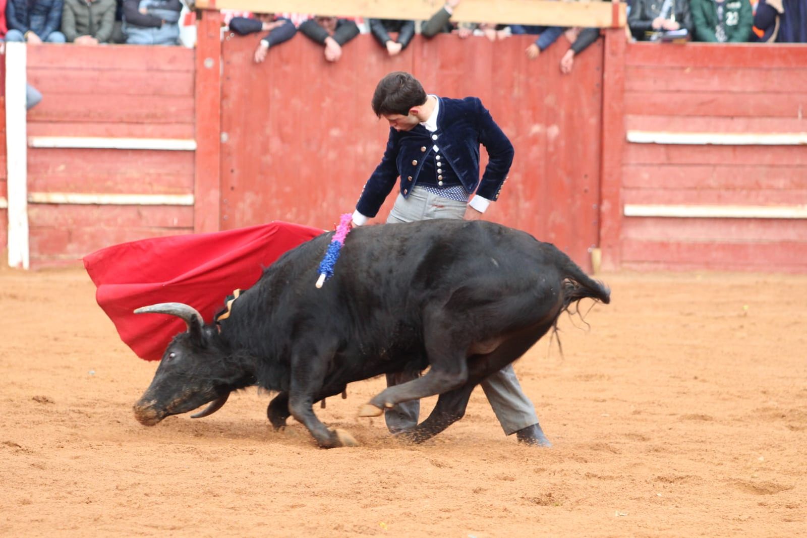 whatsapp-image-2023-02-21-at-18-27-45