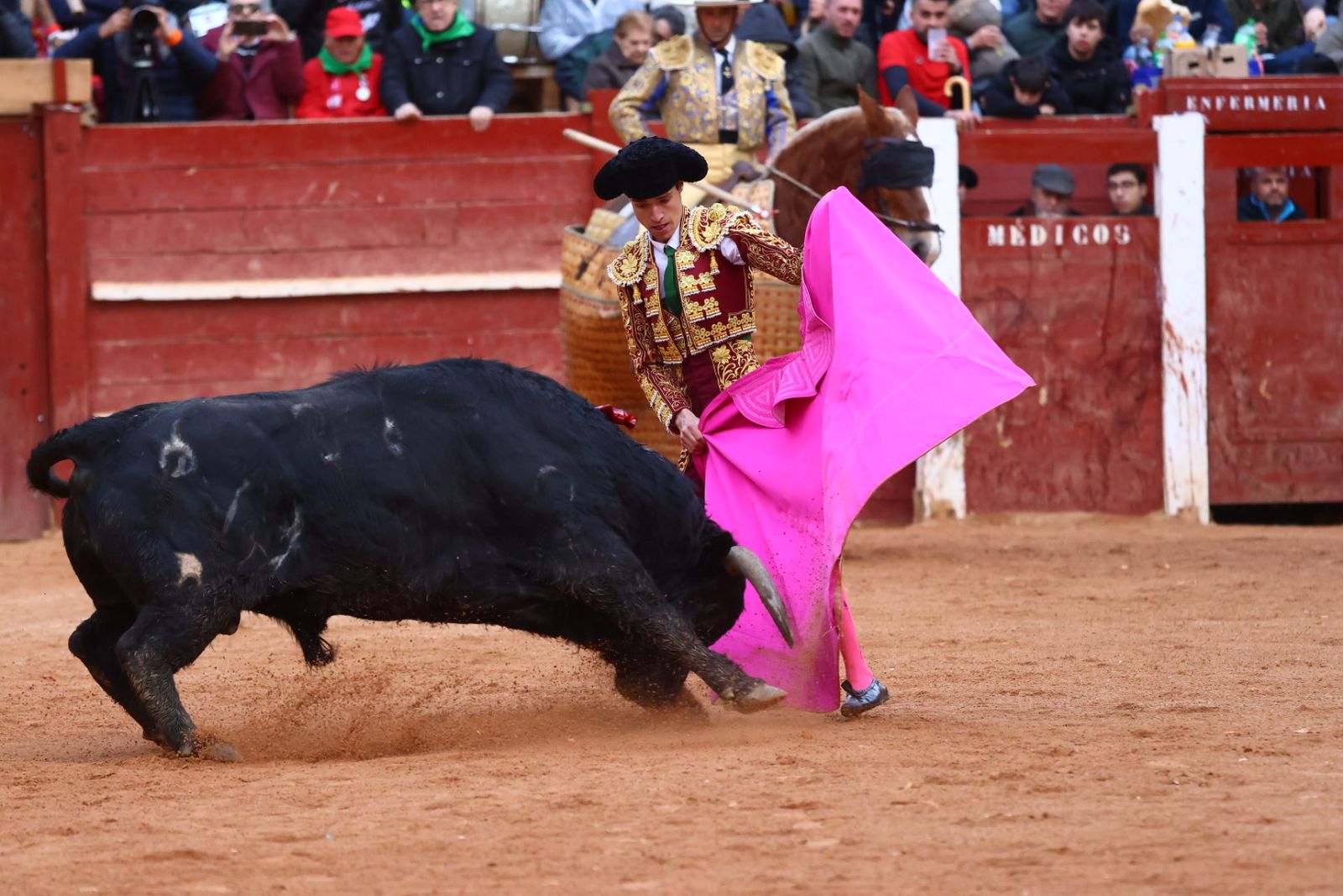 Novillada con picadores de lunes en el Carnaval del Toro de Ciudad Rodrigo 2026