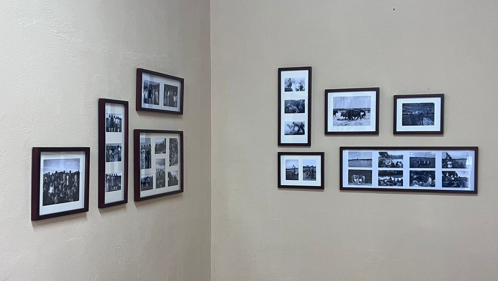 whatsapp-image-2024-03-11-at-16-09-13