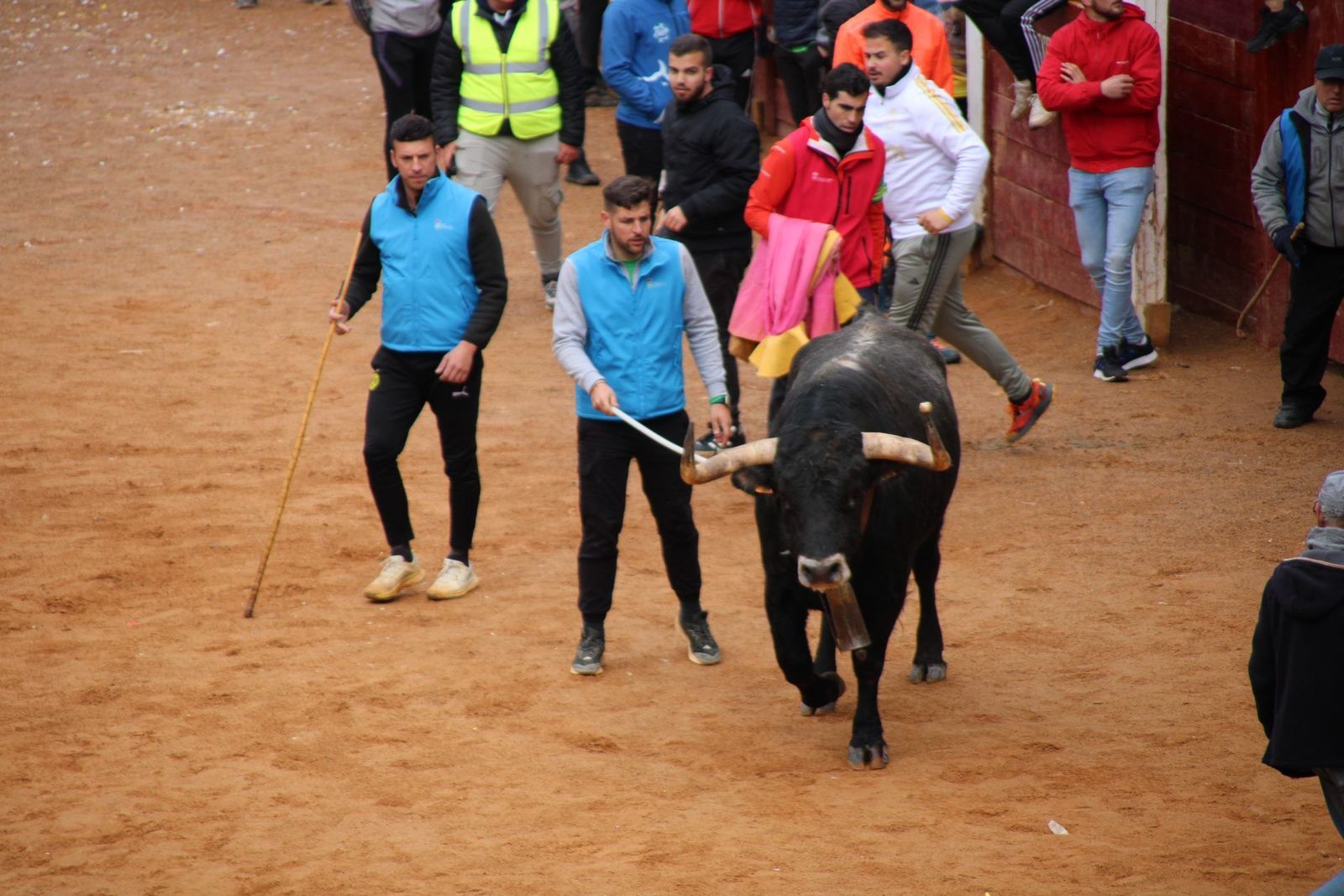 encierro-urbano-martes-de-carnaval-ciudad-rodrigo-2025-4