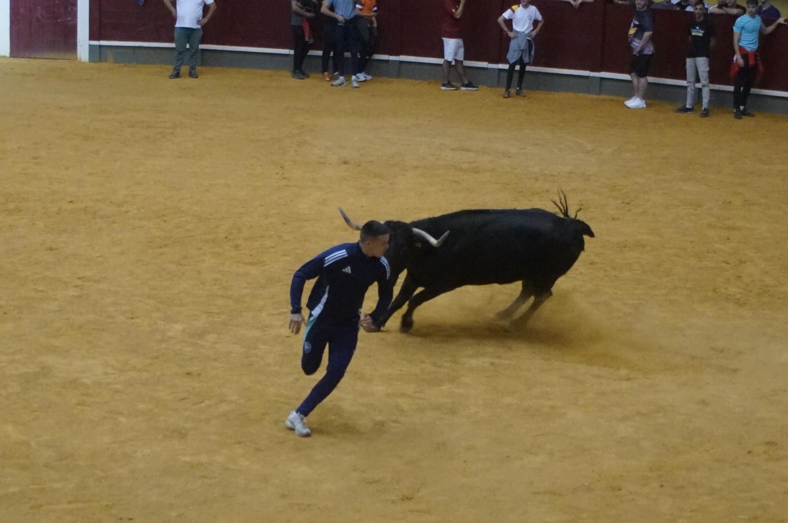 Toro del cajón y capea en Alba de Tormes