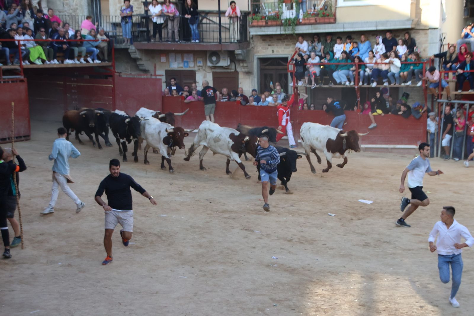 Encierro en Aldeadávila