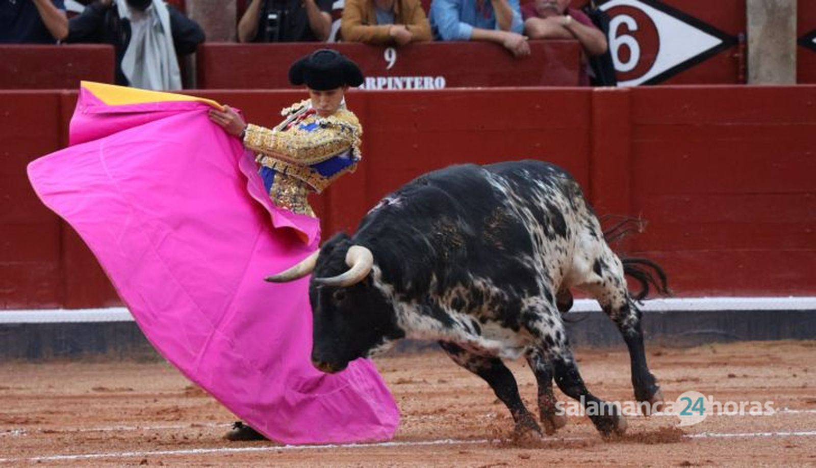 GALERÍA | Novillada de Lorenzo Espioja: momentos más destacados del tercer festejo de abono de la Feria Taurina Virgen de la Vega 2023. Fotos Andrea M.