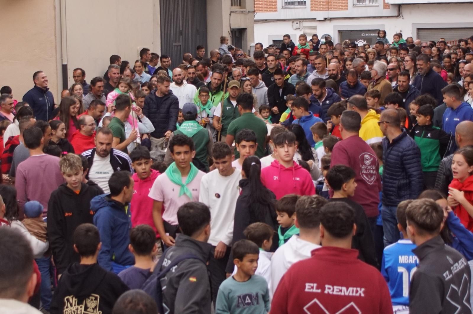 Alba de Tormes celebra un encierro, capea y encierro de minibueyes