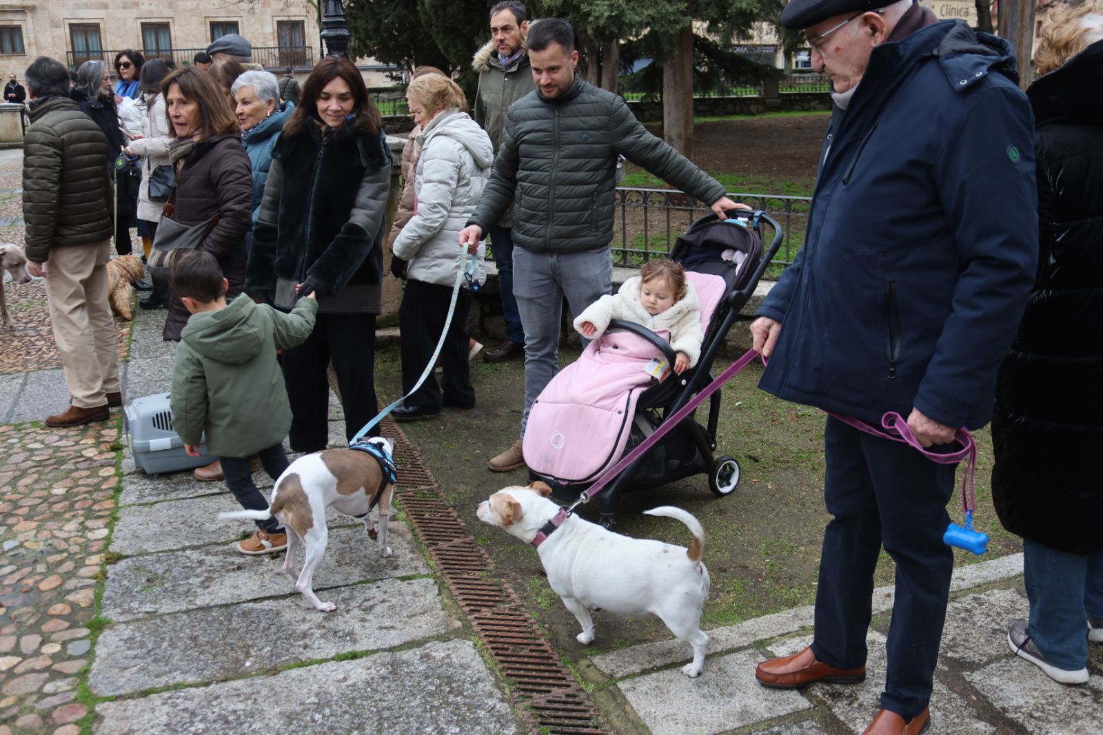 Bendición de los animales por San Antón en el Campo de San Francisco