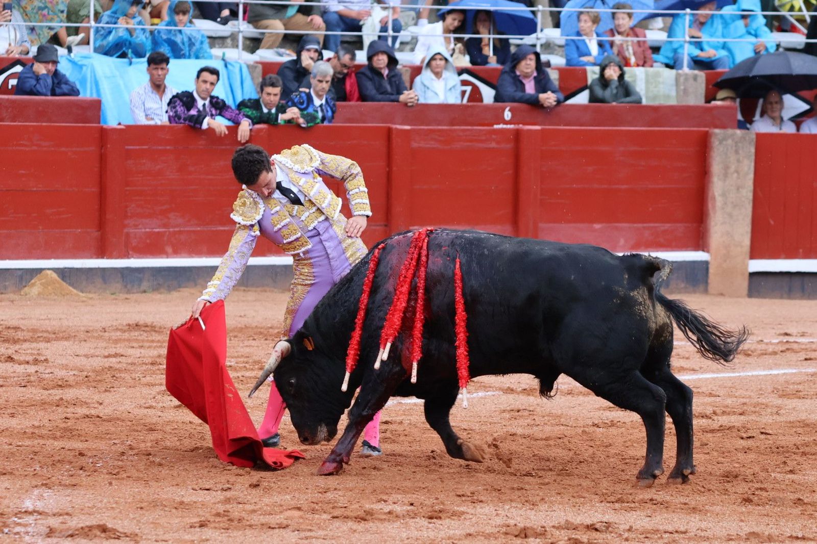 20230915172309-img-3917