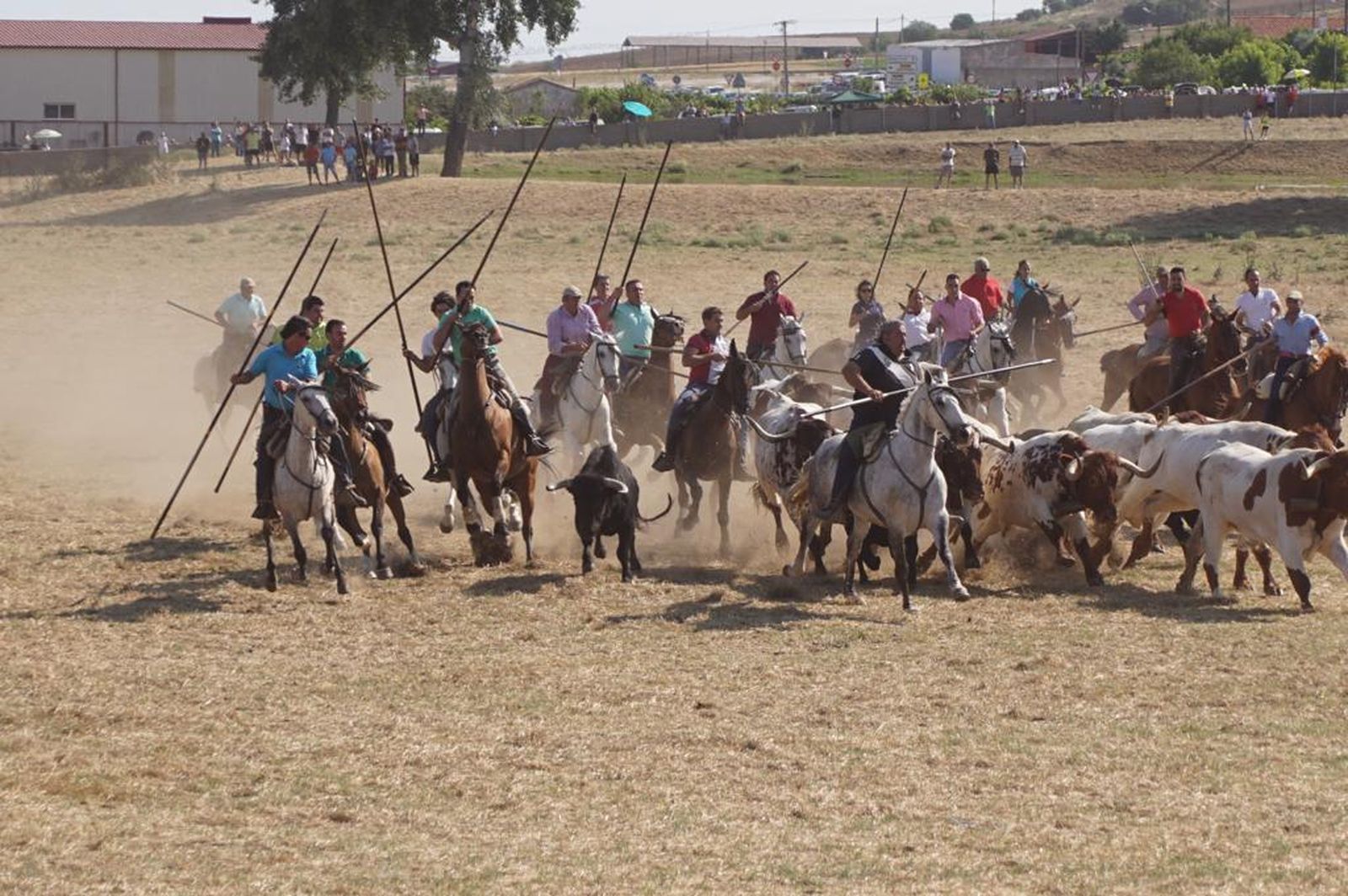 espantes-de-fuentesauco-33