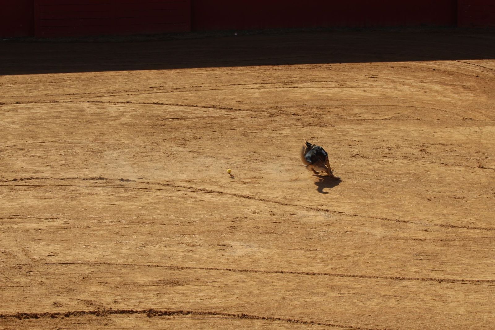 20230905122908-img-7958