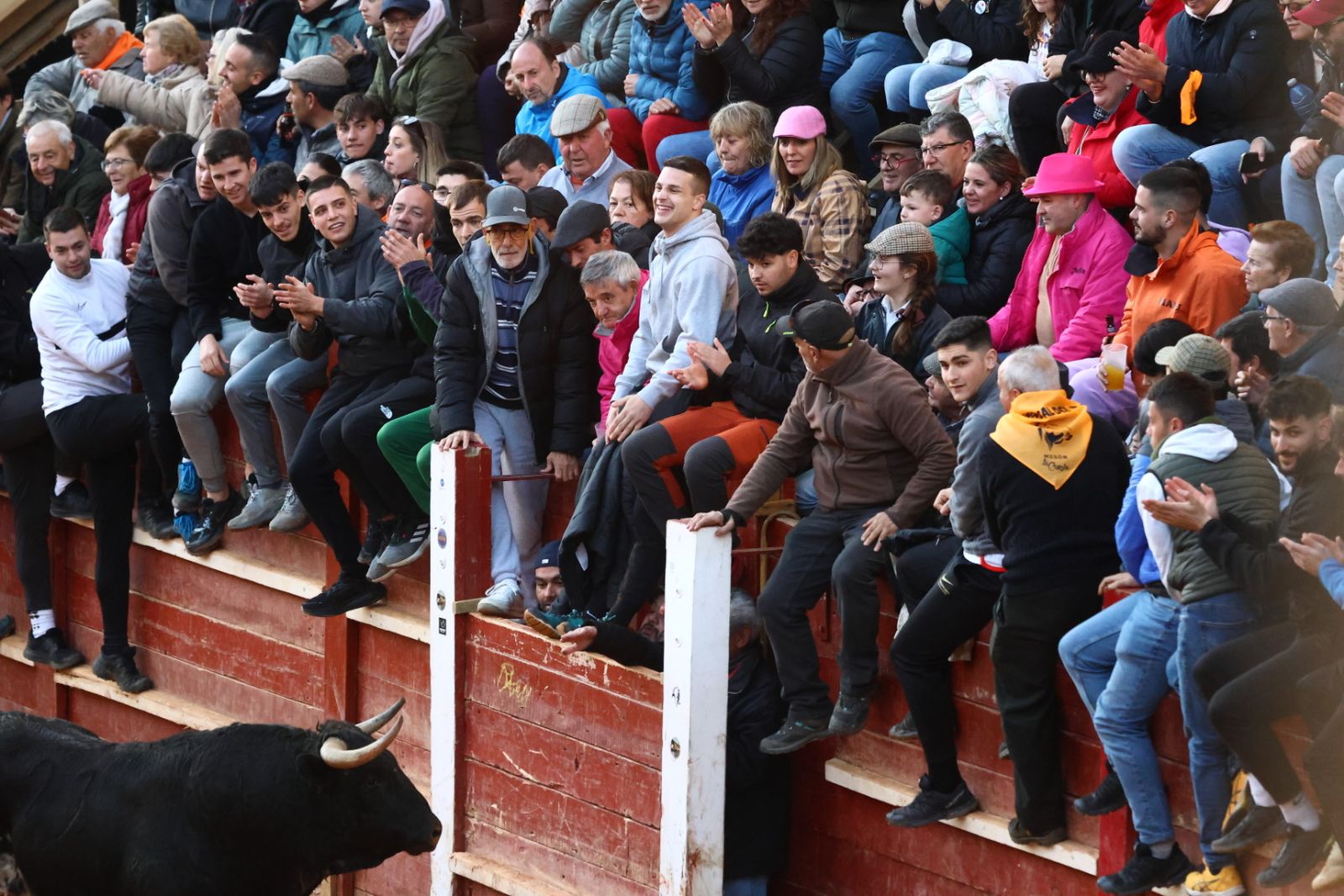 Capea de martes por la tarde en el Carnaval del Toro 2026