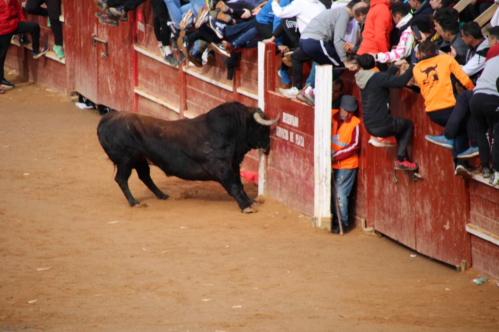 capea-matutina-del-martes-de-carnaval-14