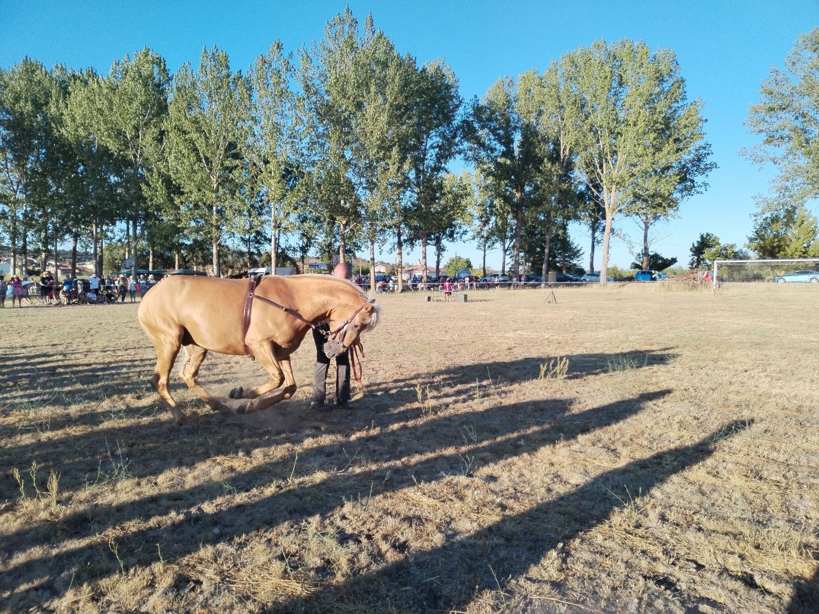 exhibicion-ecuestre-en-san-pedro-de-zamudia-6