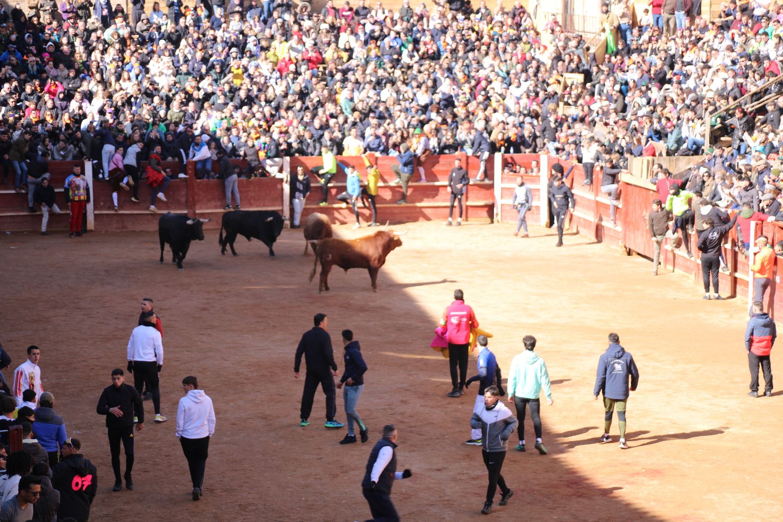 Encierro de sábado en el Carnaval del toro 2026 de Ciudad Rodrigo