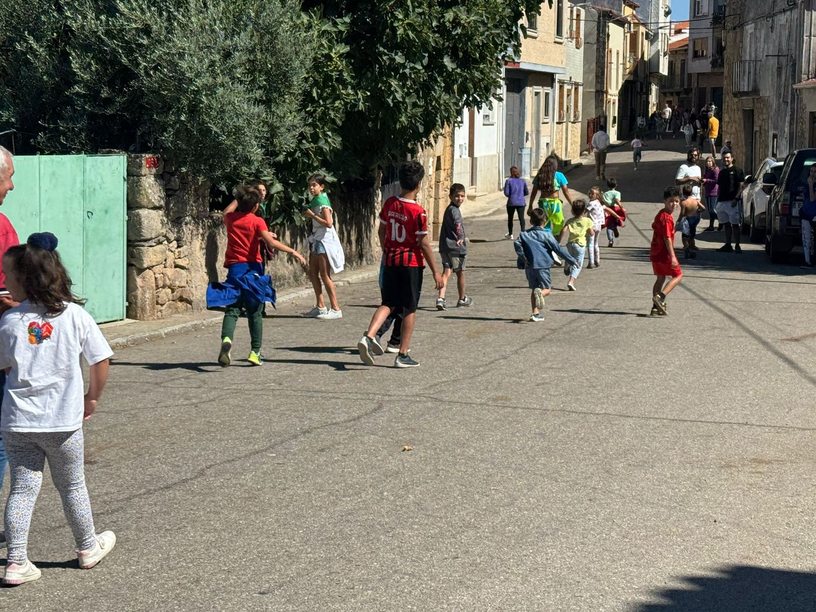 Encierro de mini bueyes en el último día de fiestas en Aldeadávila de la Ribera